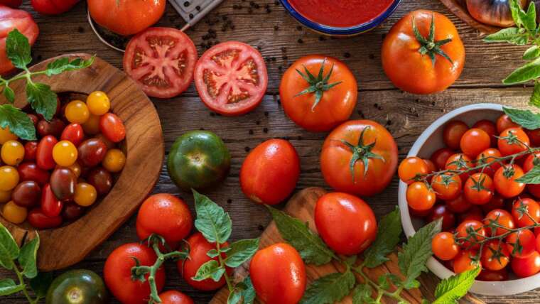 Pode-se comer tomate na dieta cetogênica? Saiba mais sobre o assunto.